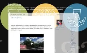 Picture of Libby's Blog Page